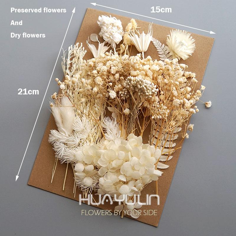 1 paquete de plantas artificia - Candle Making Experience reseña y precio